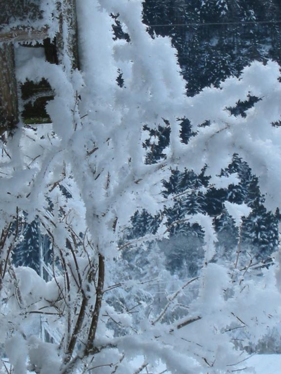Отель Berghaus Drei Tannen Эц Экстерьер фото